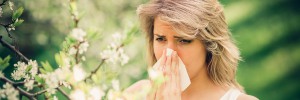 The allergy and free from show