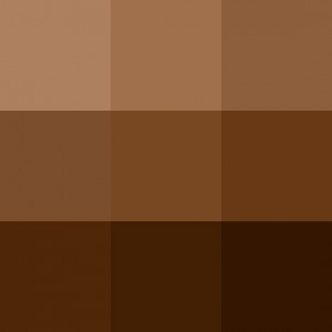 50 shades of brown